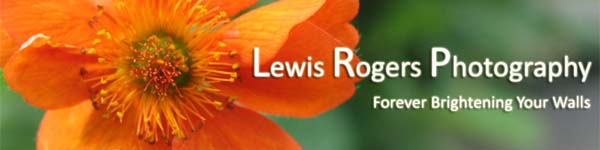 Lewis Rogers Photography